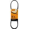 CONTITECH 6PK751 Cinghia servizi