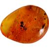 Senza marchio AMBRA COPALE CON MOSCA FOSSILIZZATA TROPICALE E ZANZARA 5,6 GRS