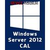 Microsoft Windows Server 2012 - Device - 1 CAL