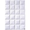 Billerbeck Piumino Martina® - Coperta 135 x 200 cm - Coperta per tutto l'anno - anallergica - 90% piumino d'oca, 10% piuma d'oca - bianco