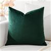 Artscope Federe Cuscini in Velluto Minimalista Copricuscino Colorato per la Decorazione Domestica Soggiorno Camera da Letto Divano 40x40cm, Verde Scuro