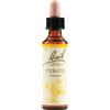 Schwabe Pharma Italia Bach Cerato Piombaggine Gocce 20 ml orali