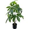 DRW Pianta artificiale albero della fortuna in PU verde 20x20x90 cm