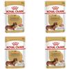 ROYAL CANIN Dachshund Adult Mousse | Confezione da 4 | 4 x 12 x 85 g | Alimento Completo per Cani | per Bassotti Adulti | può Aiutare a Proteggere Ossa e articolazioni