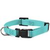 Record Collare in Nylon con clip in plastica per cani