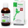 Fitomedical Betulla Bianca Linfa Bio Macerato Glicerinato 100ml Fitomedical