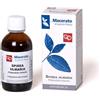 Fitomedical Spirea Ulmaria Tintura Madre Bio 50ml Fitomedical