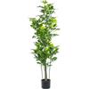 DRW Pianta artificiale schefflera in PU in verde 20x20x155 cm