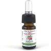 antos cosmetici - Olio per Cuticole