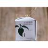 ethical grace - Shampoo e Balsamo Solido 2 in 1 Purificante - Scacciaguai