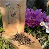 TEA SOUL Tè Rosso (nero) Biologico Smokey 10 g