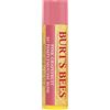 Burt's Bees Balsamo labbra al pompelmo 1 St
