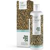 Australian Bodycare Shampoo antiforfora Australian Bodycare con olio di melaleuca e menta