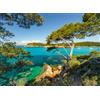 Ravensburger 12000219 - Vista sul mare - puzzle 500 pezzi - puzzle adulti e ragazzi da 12 anni, puzzle natura, puzzle paesaggio