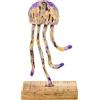 DRW Figura di una medusa di ferro con base in legno viola e nero 15x10x26 cm