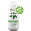 GLOBER Macerato di Ortica liquido 1 litro - Antiparassitario e Insetticida Naturale Contro Insetti e Funghi su Piante Orto Giardino e Frutta