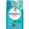 FORZA10 Medium Adult Maintenance Fish 12 kg