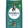 FORZA10 Maxi Adult Maintenance Venison Potato 12 kg