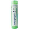 Boiron Staphysagria 5 Ch 80 Granuli 4 g
