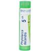 Boiron Phytolacca Decandra 5 Ch 80 Granuli 4 g