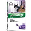 Advantage Soluzione Spot On 4 Pipette 0,8 Ml Gatti E Conigli Grandi