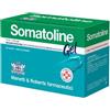 Somatoline Gel 30 Bustine Da 10 g Stati Di Adiposità Localizzata Accompagnati Da Cellulite