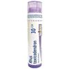 Boiron Rhus Toxicodendrum 30 Ch 80 Granuli 4 g