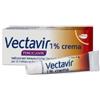 Vectavir Crema 1% 2g