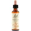 Bach Flower Remedies Mimulus N.20 Gocce 20 Ml