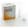 Heel Euphorbium Compositum 10 Fiale