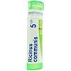 Boiron Ricinus Communis 5 Ch 80 Granuli 4 g