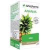Arkopharma Ananas 130 Arkocapsule