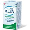 Collirio Alfa Antistaminico 8 Mg/ml + 1 Mg/ml Flacone 10 Ml