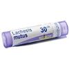 Boiron Lachesis Mutus 30 Ch Granuli