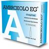 Eg Ambroxolo 15 Mg/2ml Soluzione Da Nebulizzare 10 Fiale