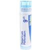 Boiron Hypericum Perf. 9 Ch Granuli