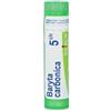 Boiron Baryta Carbonica 5 Ch 80 Granuli 4 g