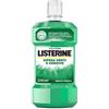 Listerine Difesa Denti E Gengive Gusto Menta 250 Ml
