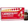 Carnidyn Boost Pronta Energia 10 Flaconcini Da 15 Ml