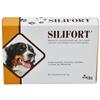 Aurora Biofarma Silifort 30 Compresse Da 1 g