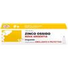 Nova Argentia Zinco Ossido Na 10% Unguento Tubo 30 g