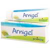 Boiron Arnigel 7% Gel Tubo 120 g