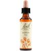 Bach Flower Remedies Aspen N.2 Gocce 20 Ml