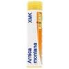 Boiron Arnica Montana Xm K Globuli