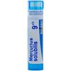 Boiron Mercurius Solubilis 9 Ch Granuli