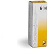 Dr. Reckeweg R14 Gocce Orali 22 Ml