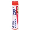 Boiron Arnica Montana 200 K Globuli
