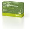 Fluimucil Influenza E Raffreddore 500 Mg / 60 Mg 8 Bustine
