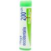 Boiron Thuya Occidentalis 200 Ch Globuli