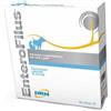 Enterofilus Mangime Complementare Per Cani E Gatti 12 Fiale Da 10 Ml